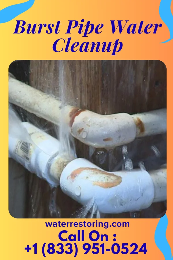 Burst Pipe Water Cleanup in Alicia, AR